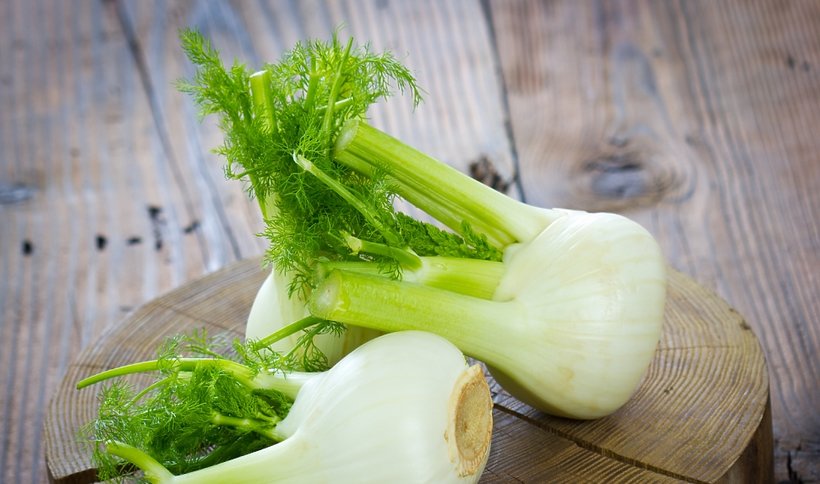 Fenchel-Tomaten-Salat